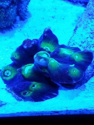 20131110_220324.jpg
