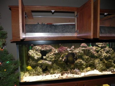Aquarim 017.jpg