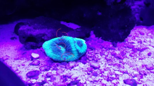 2013-12-03 16.33.13.jpg