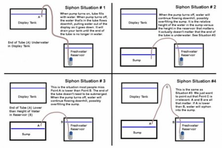 Siphon-Situations-688x459.jpg