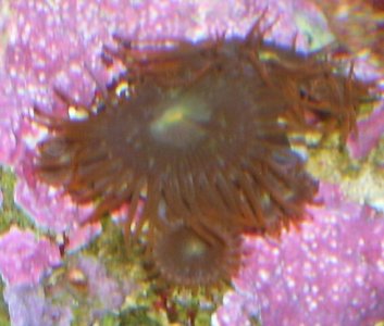 100_1687.jpg