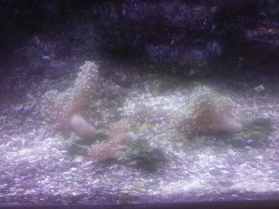 20131112_133844.jpg