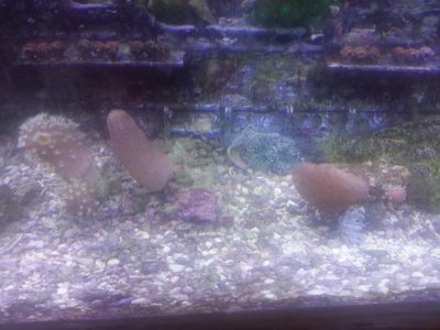 20131112_133859.jpg