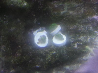 20131112_133917.jpg