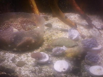 20131112_133938.jpg