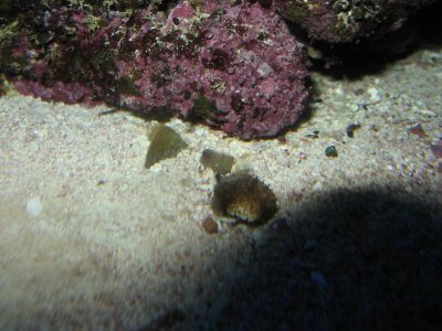 IMG_8924.jpg