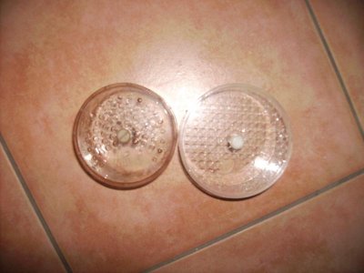 PICT0077.jpg