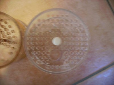 PICT0079.jpg