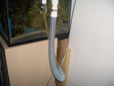 ghetto001.jpg
