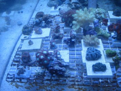 side of frag rack.jpg