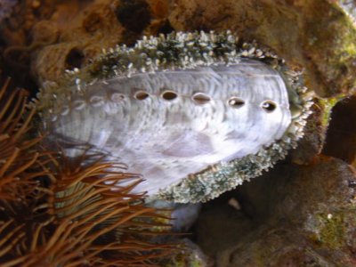 M0011728 (Small).JPG