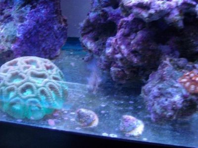 new 30 gallon 11.jpg