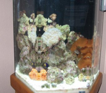 aquarium.jpg