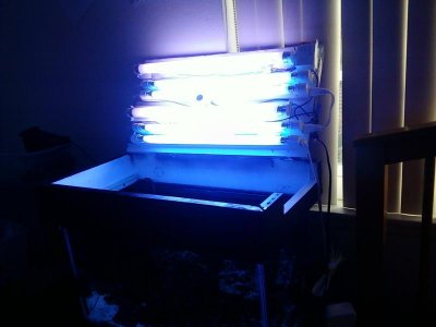 lights.jpg