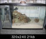 img0238a.th.jpg