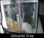 img0240l.th.jpg