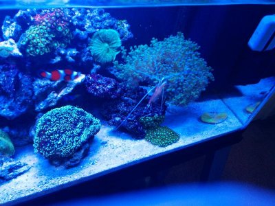 IMG_20131114_153012.jpg