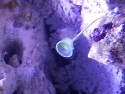20131115_184222.jpg