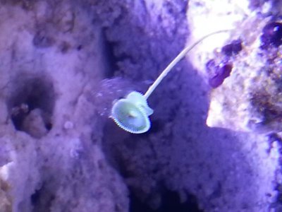 20131115_184215.jpg