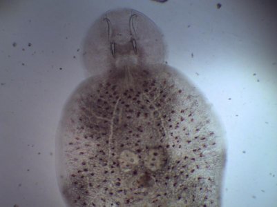 1115215312.jpg 1115215312.jpg