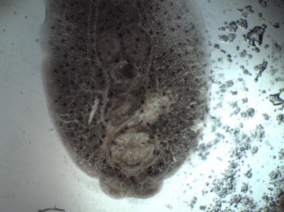 1115221504.jpg 1115221504.jpg