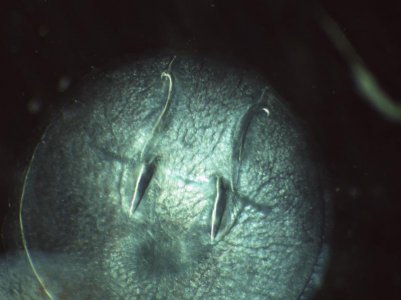 1115222104.jpg 1115222104.jpg