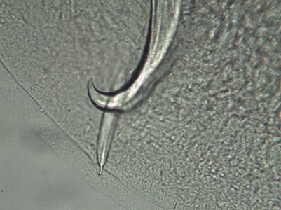 1115224457.jpg 1115224457.jpg