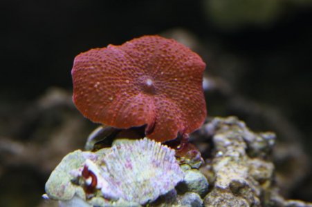IMG_7356.jpg