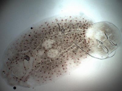 1117131449.jpg 1117131449.jpg