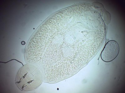 1117132112.jpg 1117132112.jpg