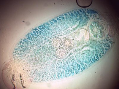 1117132412.jpg 1117132412.jpg