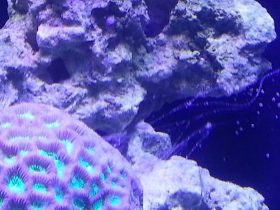 20131118_170655.jpg 20131118_170655.jpg