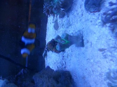 20131208_210052.jpg