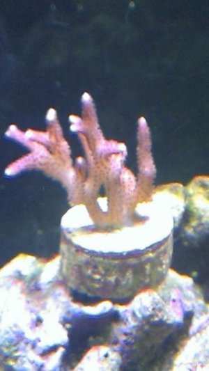 IMAG0436.jpg