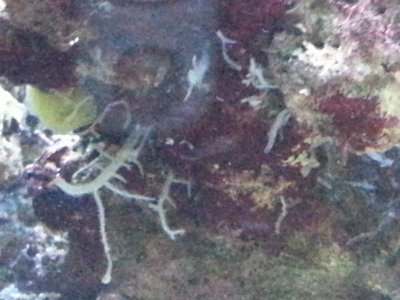 20131119_164258.jpg