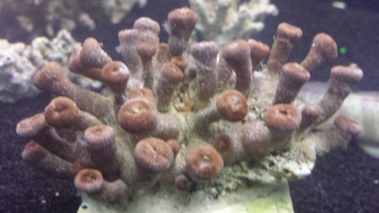 2013-12-11 03.14.53.jpg