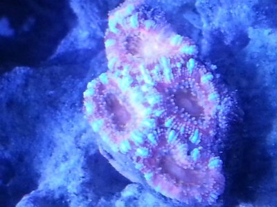 20131212_135652.jpg