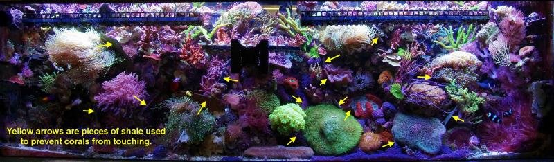 01 Shale Blockers.jpg