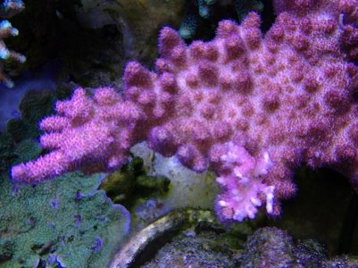 IMG_2992.jpg