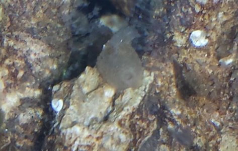 2013-11-21 22.56.20.jpg