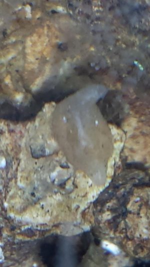 2013-11-21 23.17.38.jpg