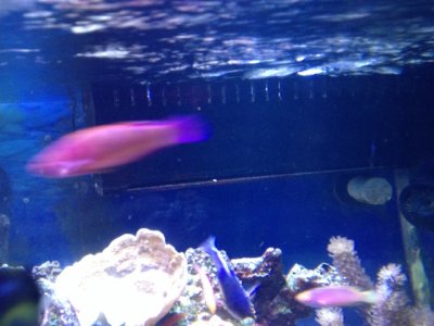 IMG_1394.jpg