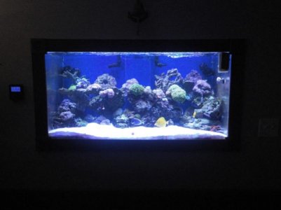 fishtank 12-2013b.jpg