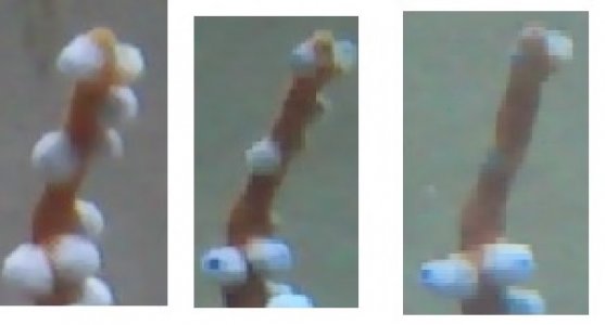 shrinkdisappear.jpg
