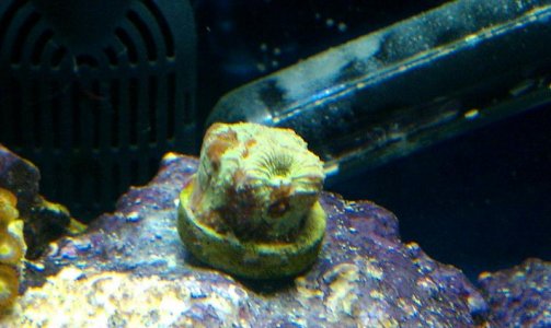 IMAG0296.jpg