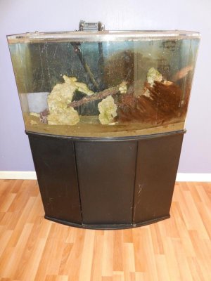 2013-11-20 14.04.08.jpg