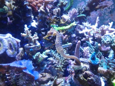 2013-11-22 13.14.24.jpg