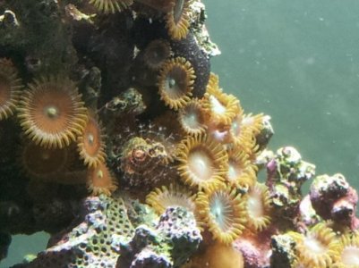 20131214_132348.jpg