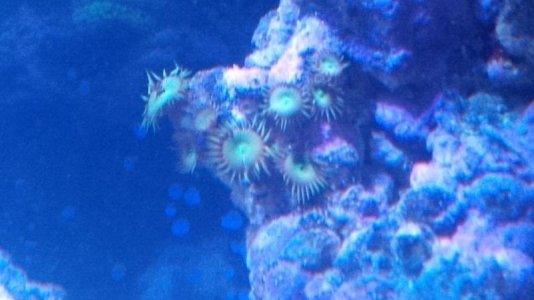 IMG_00000005.jpg