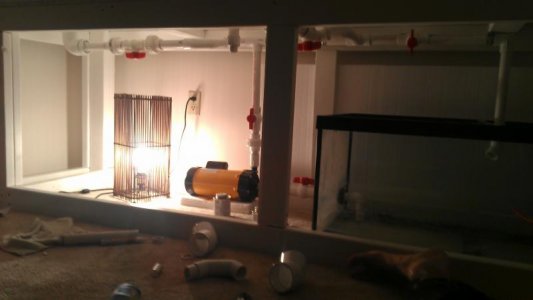IMAG0799.jpg